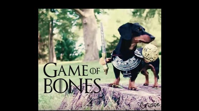 game of bones