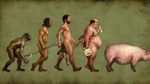 Evoluce