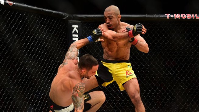 UFC 265 preview – které zápasy a bojovníky si rozhodně nenechat ujít