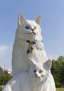 profimedia-0209535109