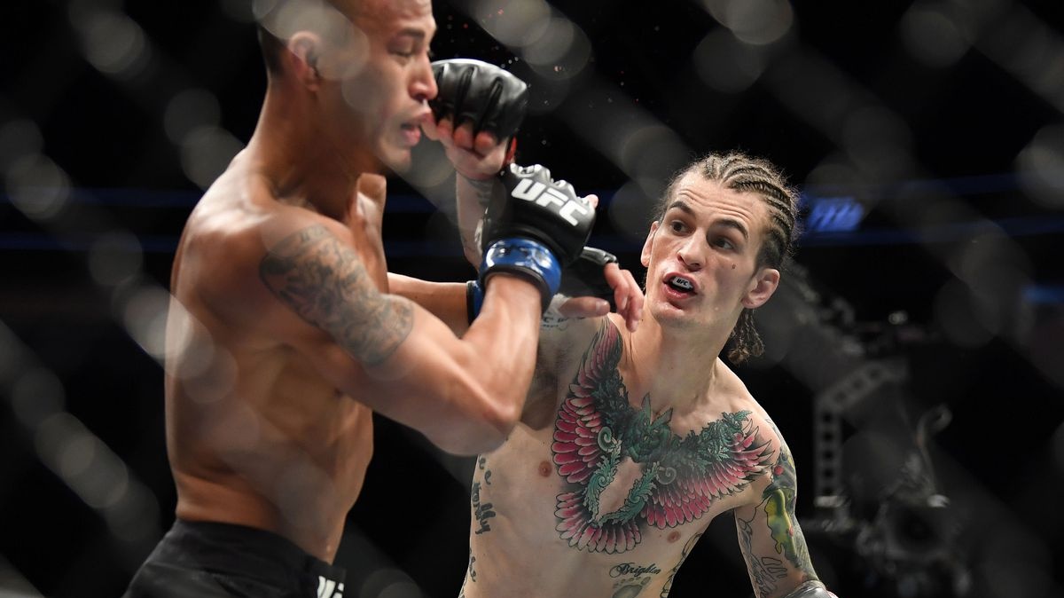 Cukřík O'Malley ztratil soupeře 10 dnů před turnajem, přesto může nové zájemce přehazovat vidlemi