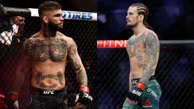Cukřík O'Malley a tvrďák Cody Garbrandt se pustili do ostré výměny názorů, připravují půdu pro vzájemný souboj?