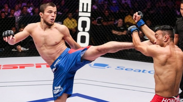 Další Khabibův bratranec bude bojovat v UFC, udrží si svou neporazitelnost?