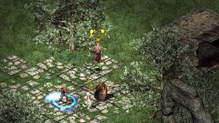 Fallen Age