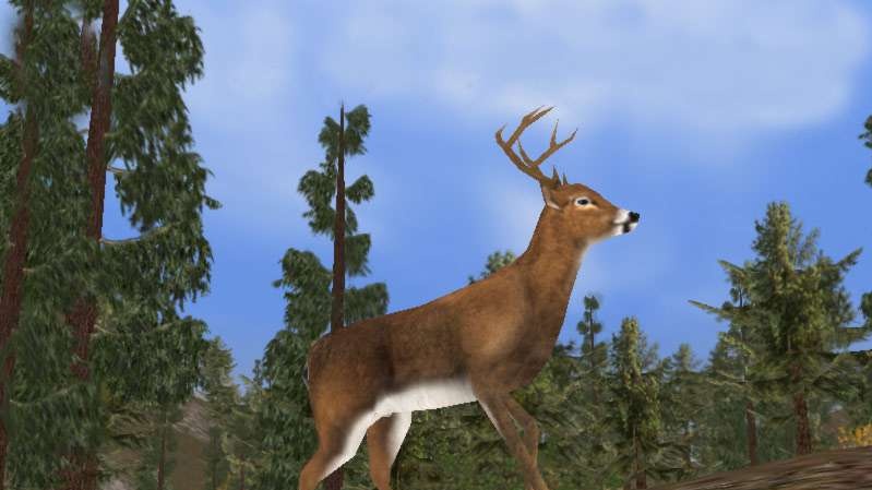 Připravované hry od Dynamixu