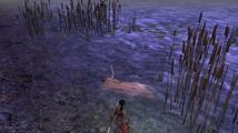 Dungeon Siege