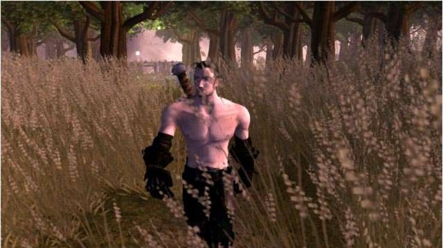 Project EGO screenshoty