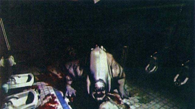 Nahrávka a scan z nového Dooma