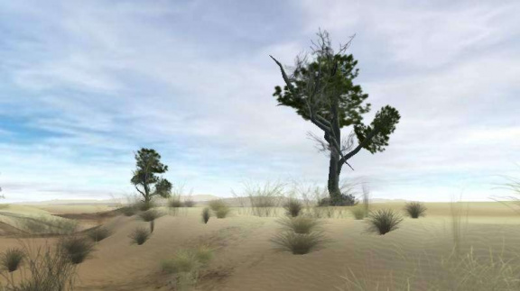 Star Wars Galaxies v obrazech