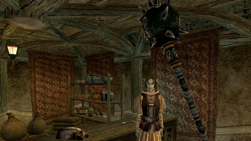 Do Evropy přijde Morrowind  s Ubisoftem