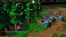 Warcraft III: Reign of Chaos