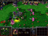 Warcraft III: Reign of Chaos