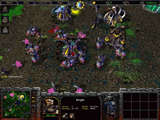 Warcraft III: Reign of Chaos