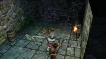 Dungeon Siege