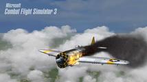 Combat Flight Simulator 3: Battle for Europe