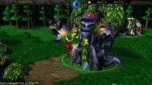 Warcraft III: Reign of Chaos