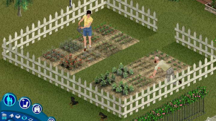 The Sims: Unleashed