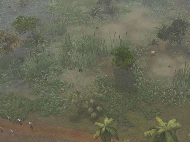 Platoon