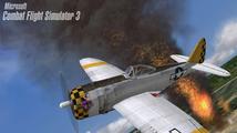 Combat Flight Simulator 3: Battle for Europe