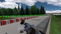 Racing Simulation 3