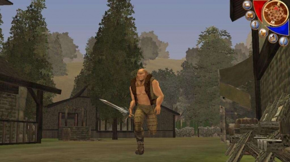 Ultra masivně multiplayerová RPG Wish