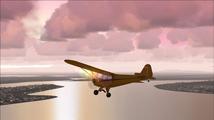 Microsoft Flight Simulator 2004: A Century of Flight