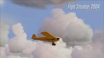 Microsoft Flight Simulator 2004: A Century of Flight