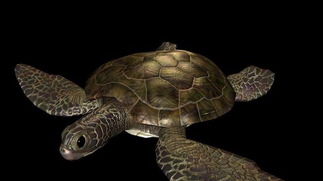 SW Galaxies, G.I. Combat, EverQuest II pics