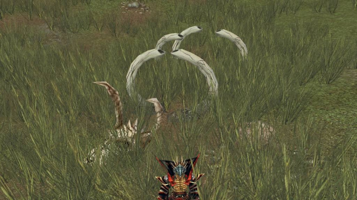 Do světa Lords of Everquest