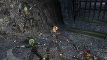 Dungeon Siege II
