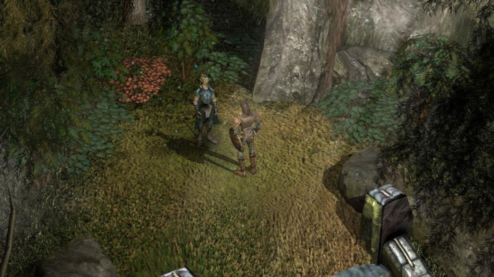 Oznámení nové RPG Fallen Kingdoms