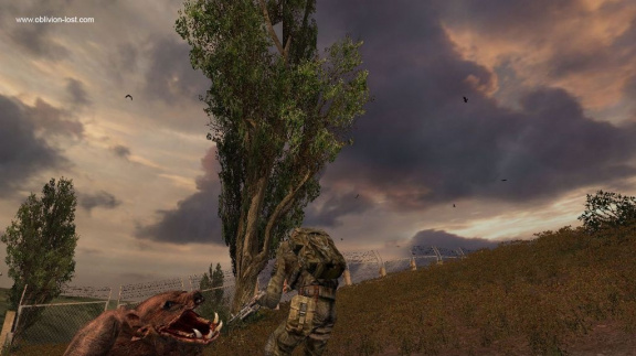 STALKER: Shadow of Chernobyl shoty a info