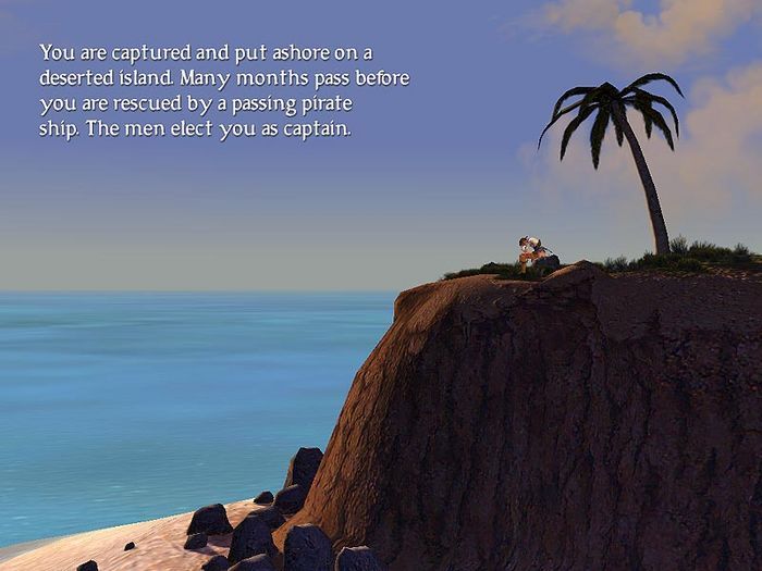 Sid Meier's Pirates!