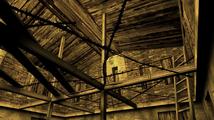 Pathologic
