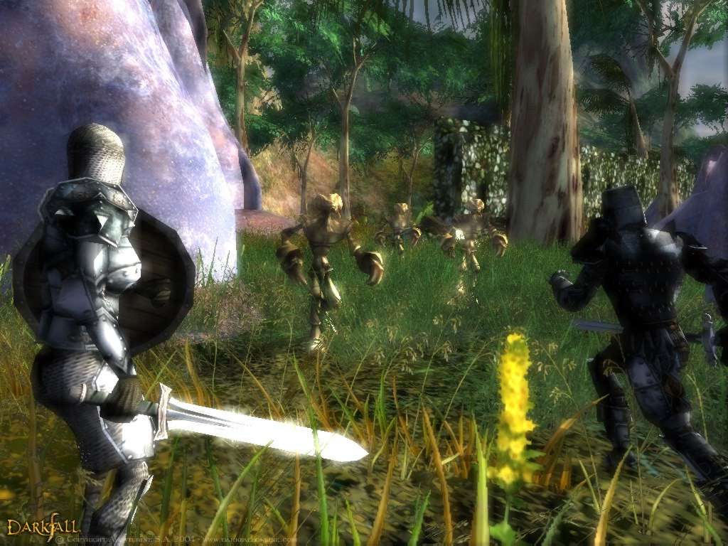 Darkfall