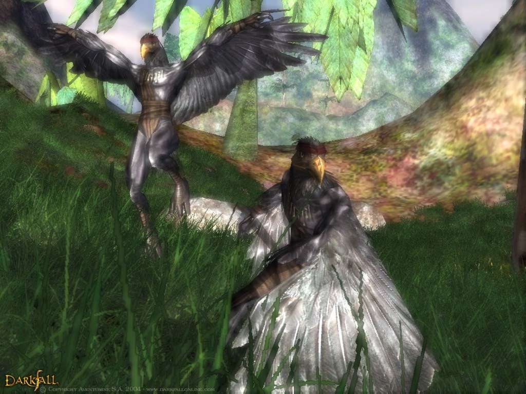Darkfall