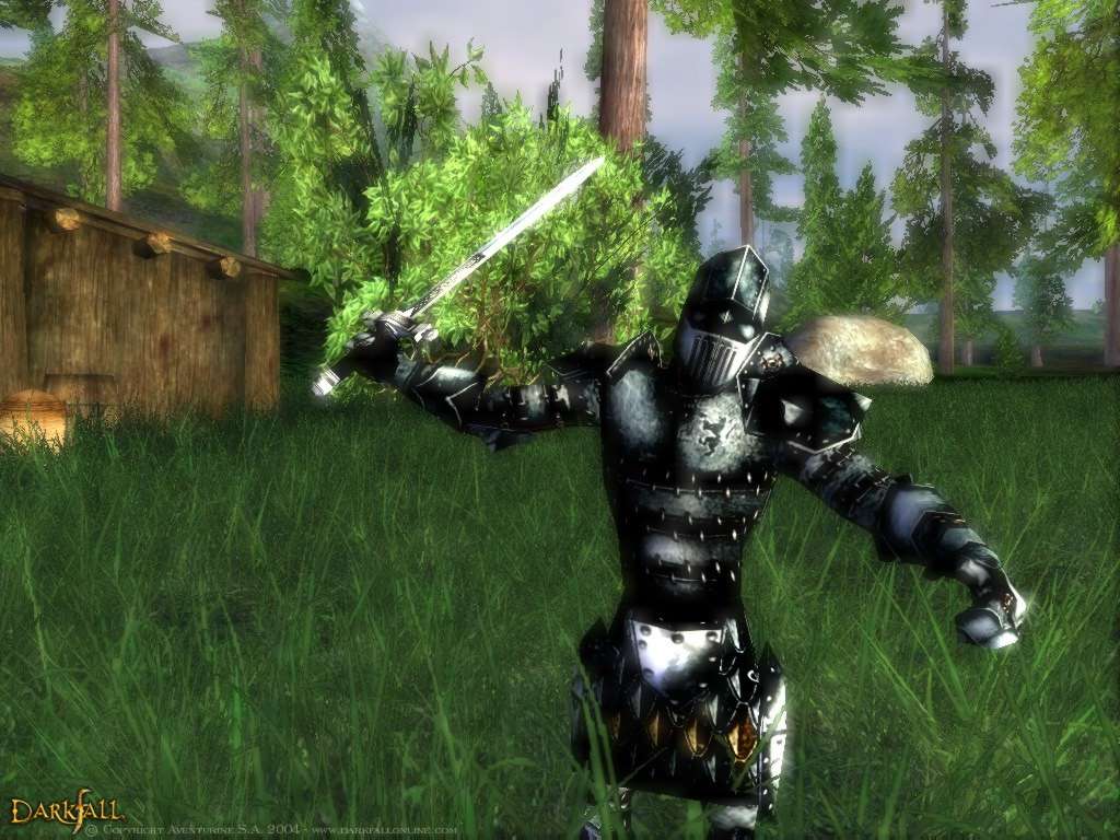 Darkfall