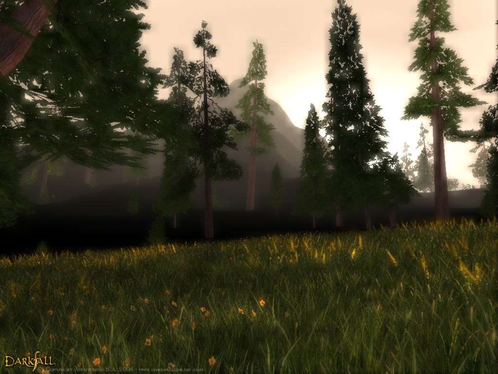 Darkfall
