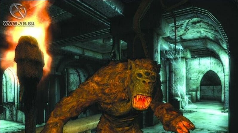 Páteční screenshoty