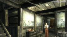 The Elder Scrolls IV: Oblivion