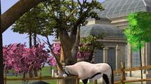 wildlife2