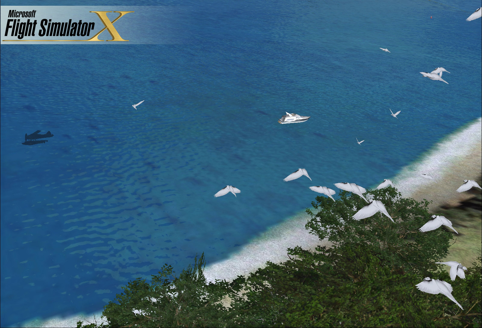 Microsoft Flight Simulator X