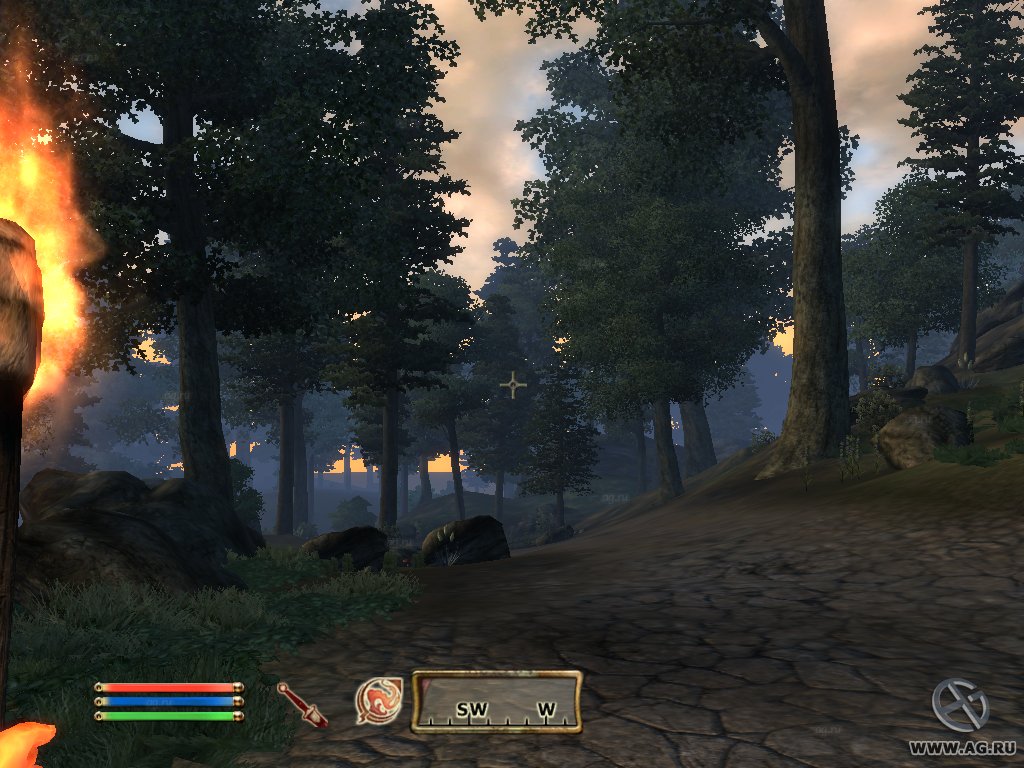 The Elder Scrolls IV: Oblivion