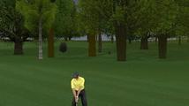 ProStroke Golf: World Tour 2007