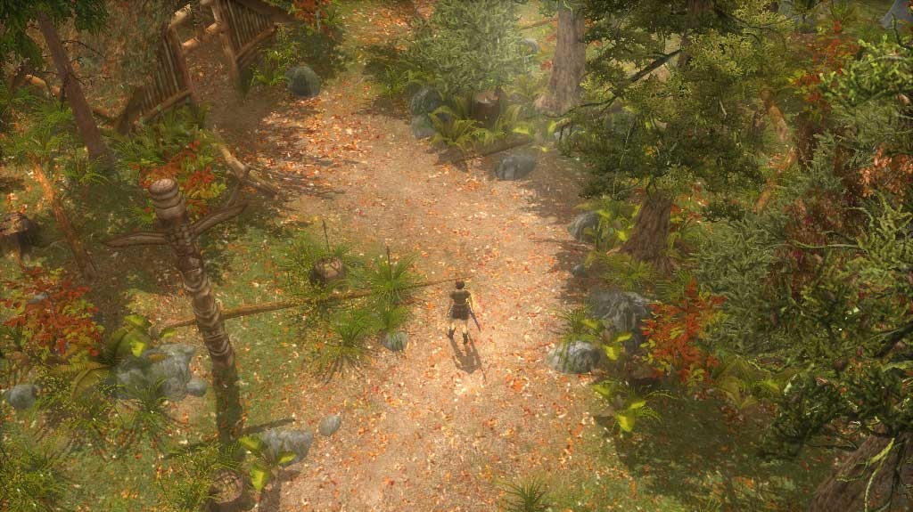 Heretic Kingdoms: Reluctant Hero - nástupce Kultu