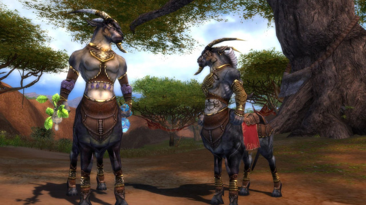 Guild Wars Nightfall se blíží, první ukázky