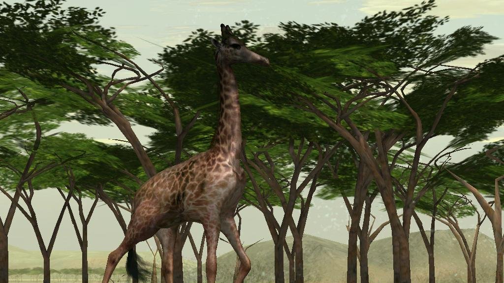 Africkou Safari ve Wild Earth