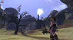 Vanguard: Saga of Heroes