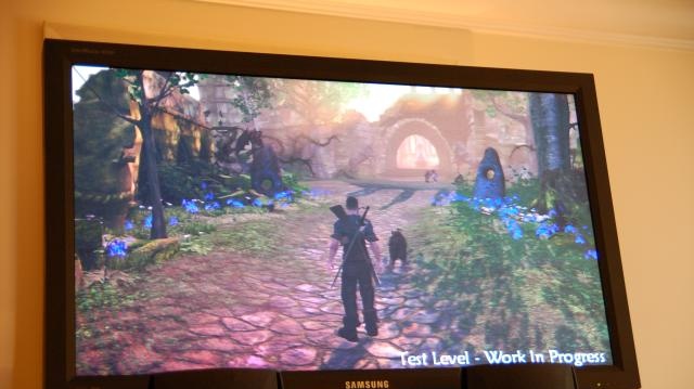 Fable 2 - první ukázky a nové informace