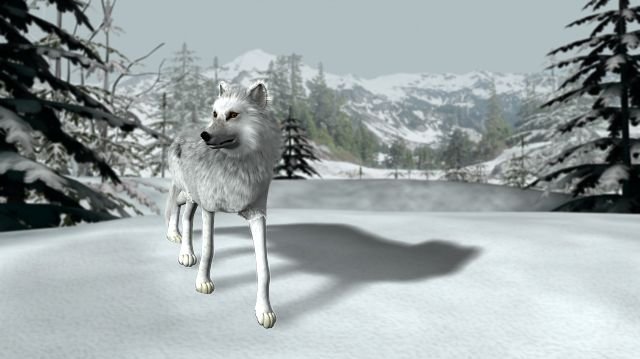 Nancy Drew a dvě její nová drobrodružství